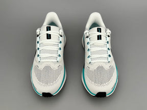 Nike Air Zoom Pegasus 41 - Azul Collor